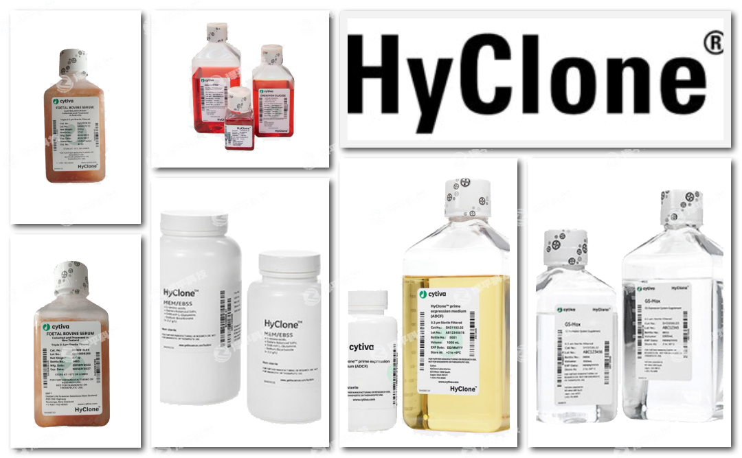 ¡HycloneB(yng)̥ţѪ̱ƽ